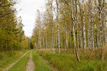 Image showing Countryside road