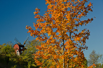 Image showing Windmill in autumn