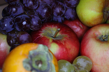 Image showing Apples and grapes