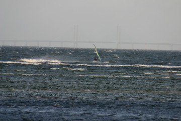 Image showing windsurfing