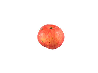 Image showing Ripe red apple. Isolated on a white background