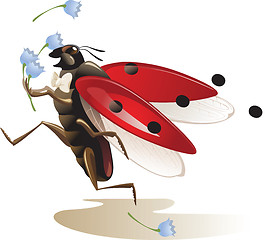 Image showing ladybug 