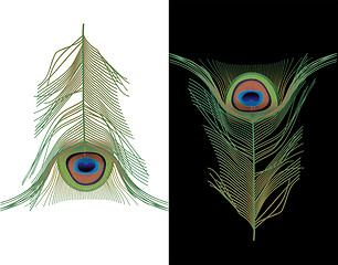 Image showing peacock feather