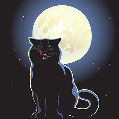 Image showing nocturnal black cat on black background