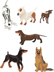 Image showing pet, dogs