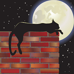 Image showing black cat