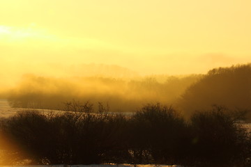 Image showing beautiful sunset in the woods