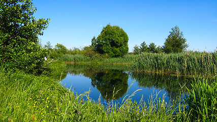 Image showing Picturesque summer lake