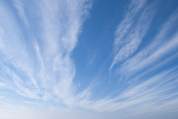 Image showing Cirrus Clouds
