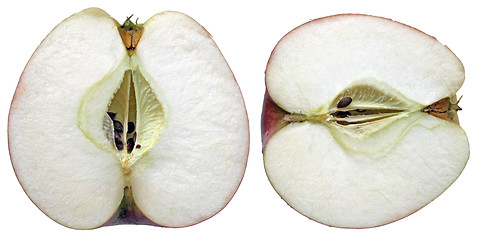 Image showing Juicy Apple