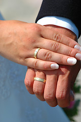 Image showing Wedding rings