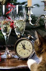 Image showing New Year celebration and funny cat