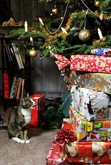 Image showing Christmas gifts and funny cat