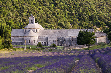 Image showing Provence monastery