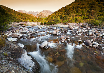 Image showing River in Corsica