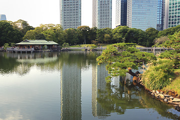 Image showing Hamarikyu Zen  garden