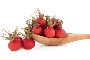 Image showing Rose Hip Fruit