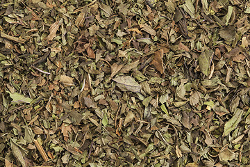 Image showing peppermint tea