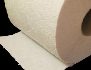 Image showing Toilet Paper