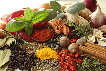 Image showing Herbs and spices