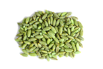 Image showing Fennel seeds