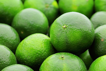 Image showing lime citrus fruit