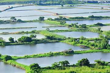 Image showing Fish hatchery pond