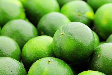 Image showing lime citrus fruit