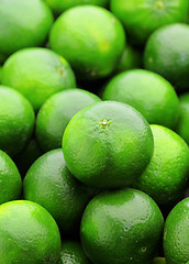 Image showing lime citrus fruit