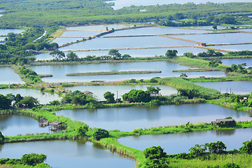 Image showing Fish hatchery pond