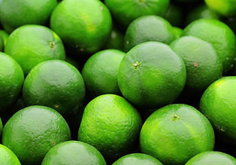 Image showing lime citrus fruit