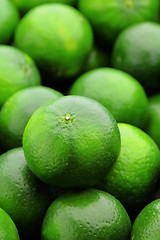 Image showing lime citrus fruit