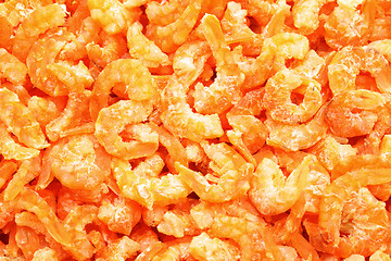 Image showing dry shrimp