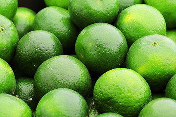 Image showing green citrus fruit