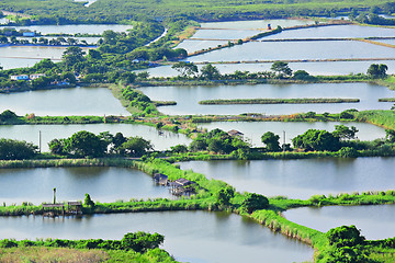 Image showing Fish Hatchery