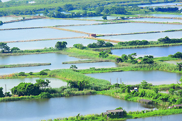 Image showing Fish hatchery pond