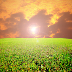 Image showing A photo of a blue sky and a green field 
