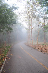 Image showing An image of a road covered in fog 