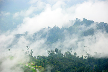 Image showing morning mist cover tree and mountain 