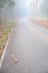 Image showing An image of a road covered in fog 