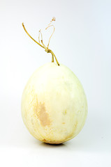 Image showing cantaloupe melon 