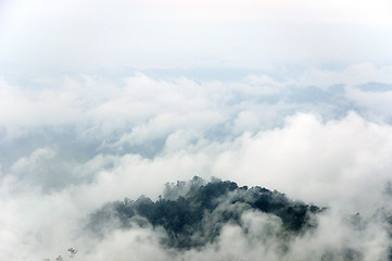 Image showing morning mist cover tree and mountain 