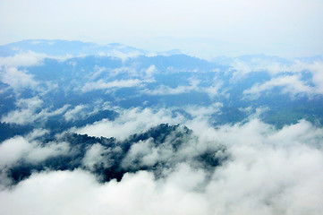 Image showing morning mist cover tree and mountain 