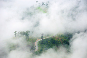 Image showing morning mist cover tree and mountain 