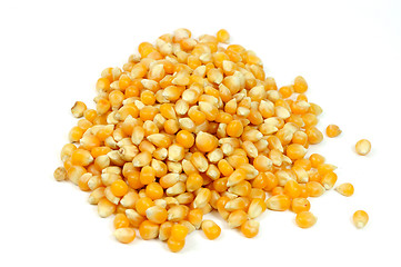 Image showing Pile of corn seeds isolated on white 