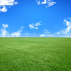 Image showing A photo of a blue sky and a green field 