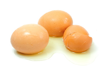 Image showing eggs. Isolated on white background