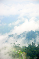 Image showing morning mist cover tree and mountain 