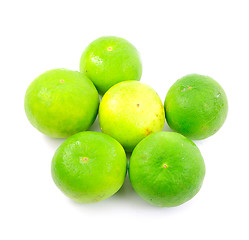 Image showing Lime on a white background 