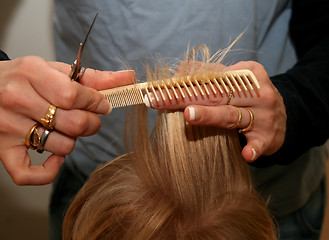 Image showing Haircutting